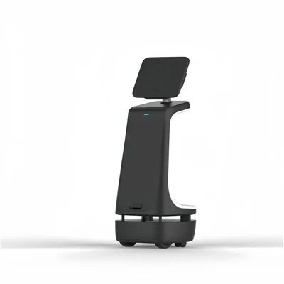 Hizmet Robotu Sektörü
